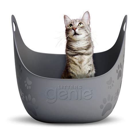 most expensive litter box